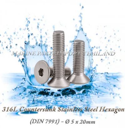 316L20Countersunk20Stainless20Steel20Hexagon205X20mm202820Pack20of202202920 00POS