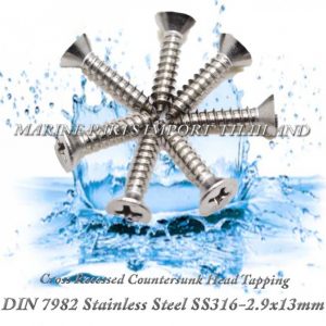 DIN7982 2.9X1320Stainless20Steel20SS316 00pos
