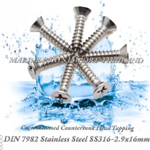DIN7982 2.9X1620Stainless20Steel20SS316 00pos