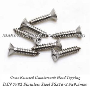 DIN7982 2.9X1320Stainless20Steel20SS316 0pos