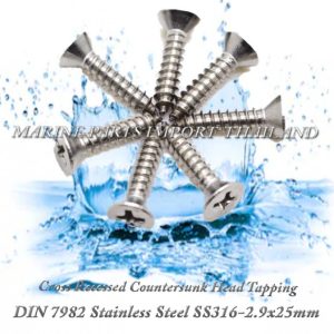DIN7982 2.9X25mm20Stainless20Steel20SS316 00pos