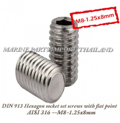 DIN2091320Hexagon20socket20set20screws20with20flat20point 20AISI2031620 M8 1.25x8mm.0