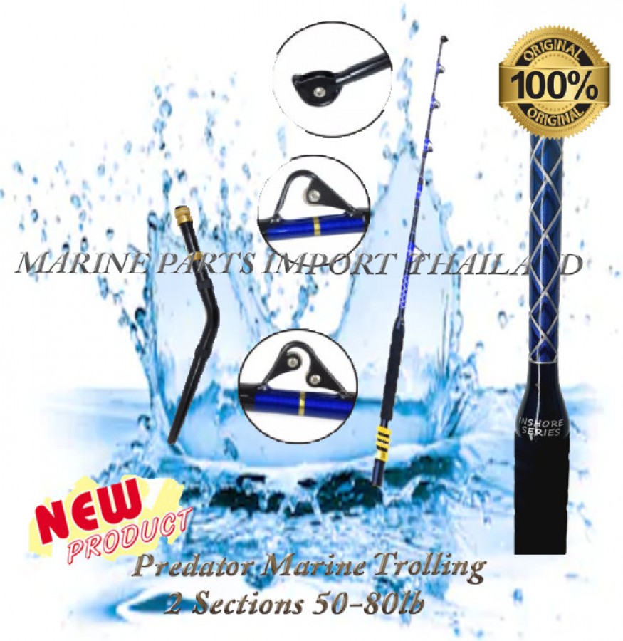50-80 lb 5' 6" Saltwater Trolling Fishing Rod With Bent Butt and Swivel Tip 
