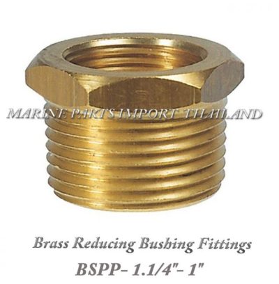 Brass20Reducing20Bushing20Fittings20 20BSPP 201.1 4inch20120inch 0jpg
