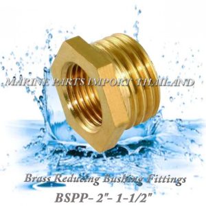 Brass20Reducing20Bushing20Fittings20 20BSPP 202inch201.1 220inch 000POS