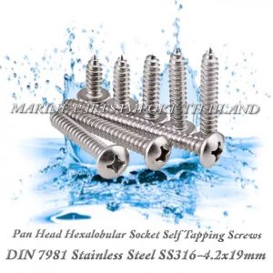 DIN7981 4.2X19mm20Stainless20Steel20SS316 00pos.jpg