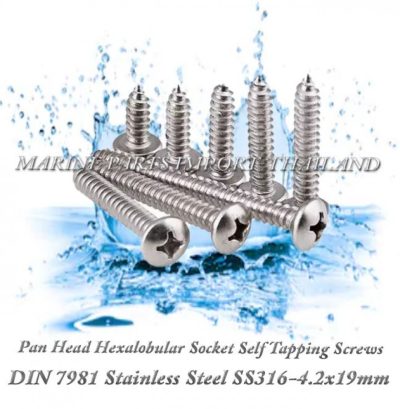 DIN7981 4.2X19mm20Stainless20Steel20SS316 00pos.jpg
