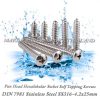 DIN7981 4.2X25mm20Stainless20Steel20SS316 00pos.jpg