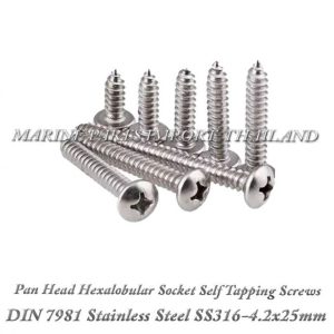 DIN7981 4.2X25mm20Stainless20Steel20SS316 0pos.jpg