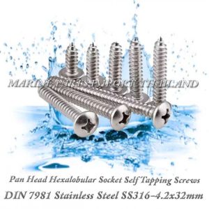 DIN7981 4.2X32mm20Stainless20Steel20SS316 00pos.jpg