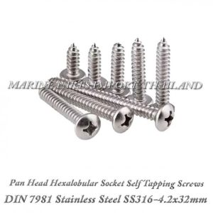 DIN7981 4.2X32mm20Stainless20Steel20SS316 0pos.jpg