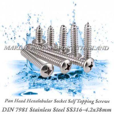 DIN7981 4.2X38mm20Stainless20Steel20SS316 00pos.jpg
