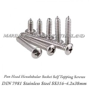 DIN7981 4.2X38mm20Stainless20Steel20SS316 0pos.jpg