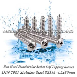 DIN7981 4.2X50mm20Stainless20Steel20SS316 00pos.jpg