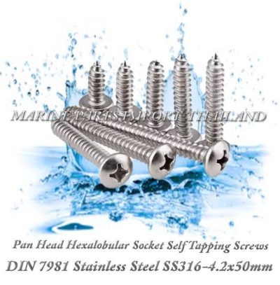 DIN7981 4.2X50mm20Stainless20Steel20SS316 00pos.jpg