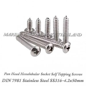 DIN7981 4.2X50mm20Stainless20Steel20SS316 0pos.jpg